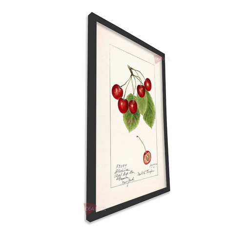 mnr cocina vertical cvk38.jpg