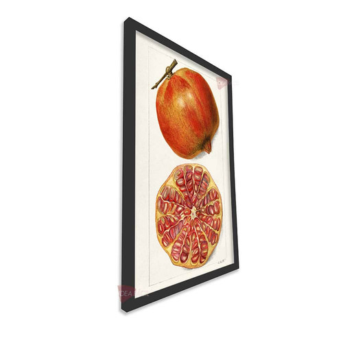 mnr cocina vertical cvk35.jpg