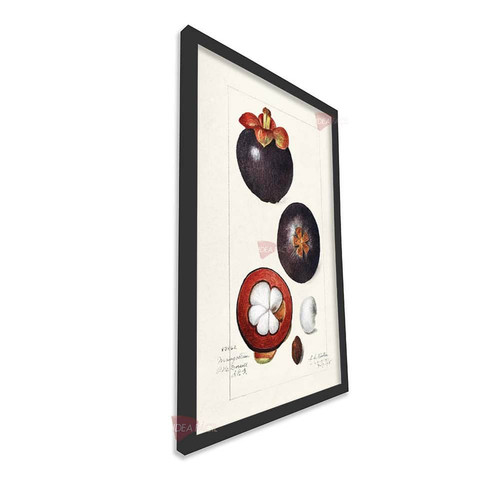 mnr cocina vertical cvk24.jpg