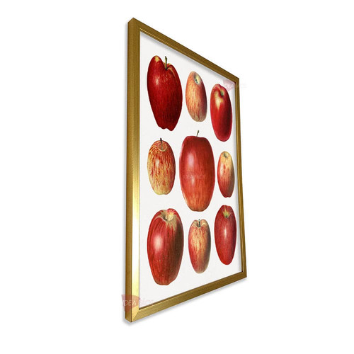 mdr cocina vertical cvk71.jpg