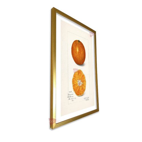 mdr cocina vertical cvk68.jpg