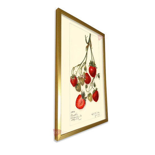 mdr cocina vertical cvk97.jpg