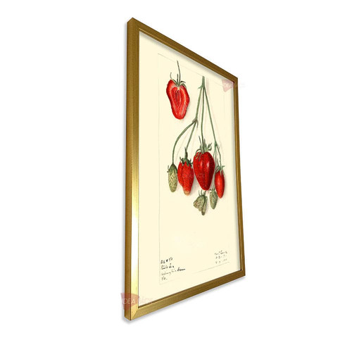 mdr cocina vertical cvk96.jpg