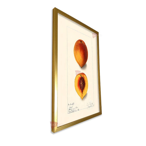 mdr cocina vertical cvk98.jpg