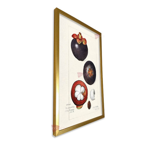 mdr cocina vertical cvk24.jpg