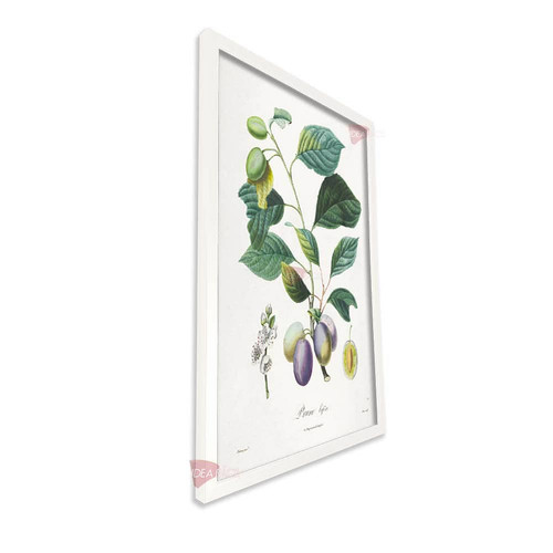 bl frutas vertical fvf97.jpg