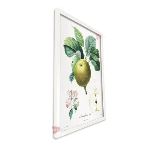 bl frutas vertical fvf98.jpg