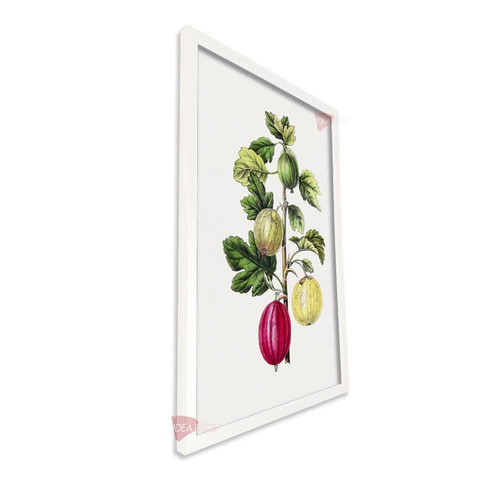 bl frutas vertical fvf94.jpg