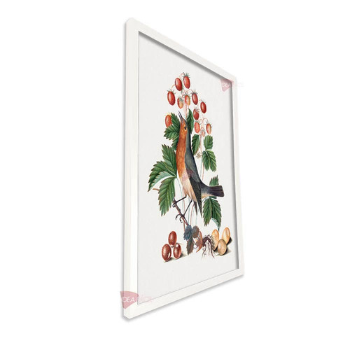 bl frutas vertical fvf102.jpg