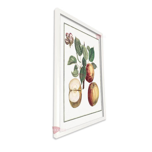 bl frutas vertical fvf95.jpg