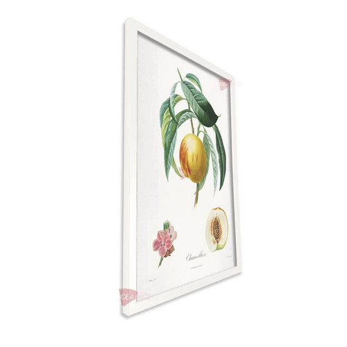 bl frutas vertical fvf99.jpg