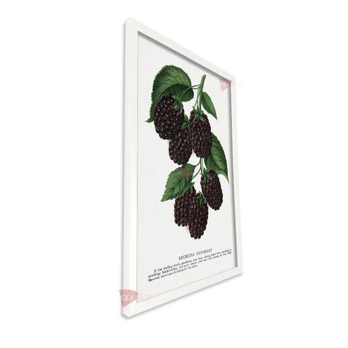 bl frutas vertical fvf107.jpg