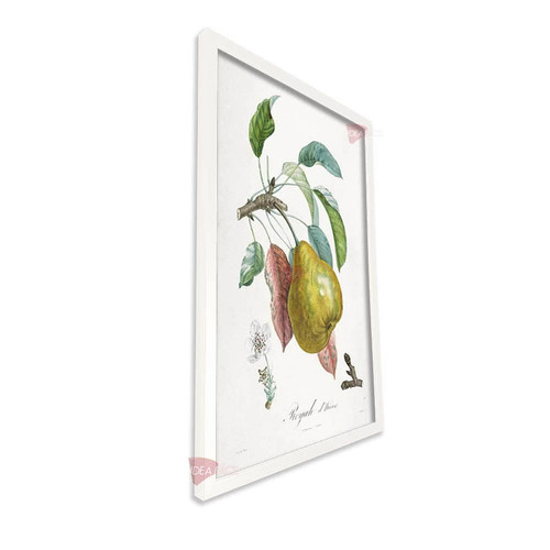 bl frutas vertical fvf96.jpg