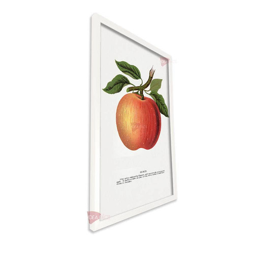 bl frutas vertical fvf104.jpg