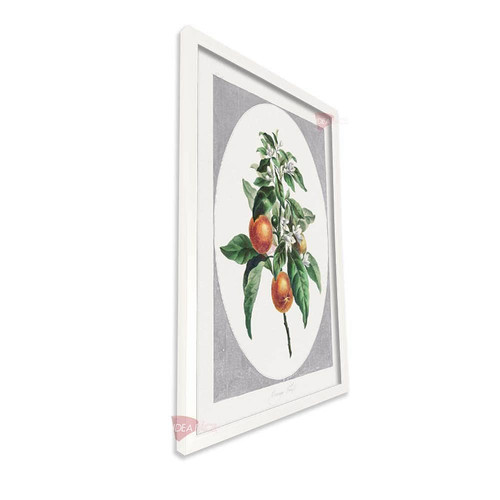 bl frutas vertical fvf101.jpg