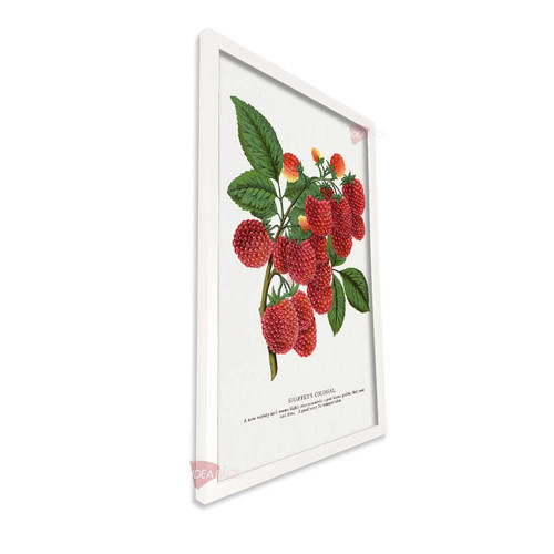 bl frutas vertical fvf105.jpg