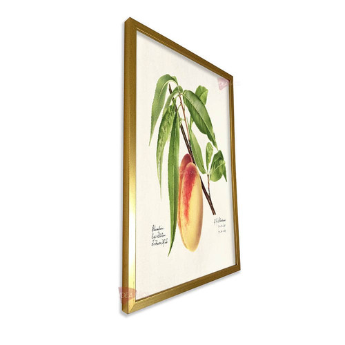 mdr cocina vertical cvk46.jpg