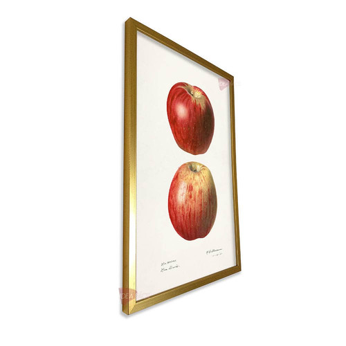 mdr cocina vertical cvk43.jpg