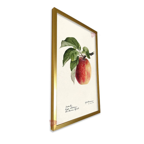 mdr cocina vertical cvk33.jpg