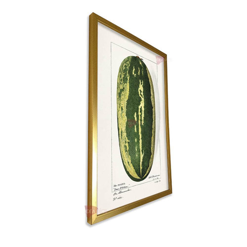 mdr cocina vertical cvk54.jpg