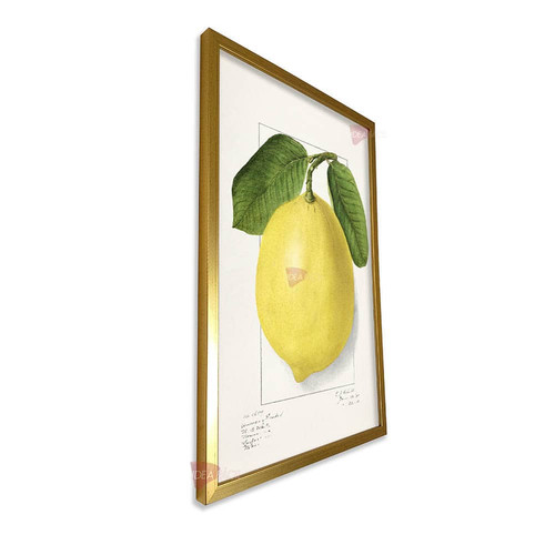 mdr cocina vertical cvk55.jpg