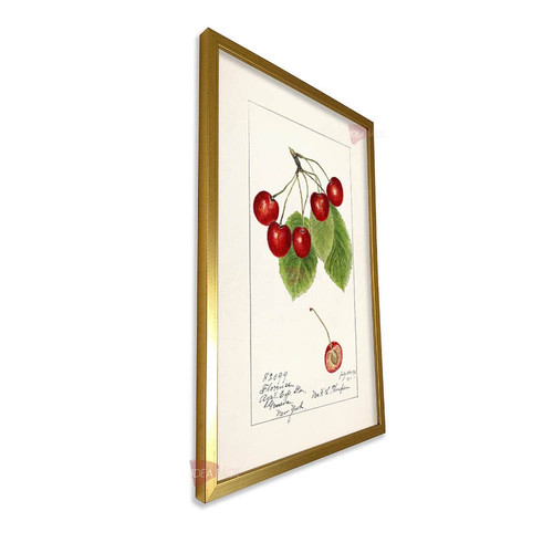 mdr cocina vertical cvk38.jpg