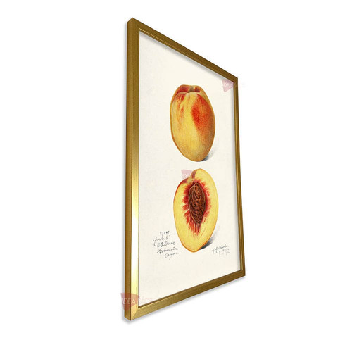 mdr cocina vertical cvk50.jpg