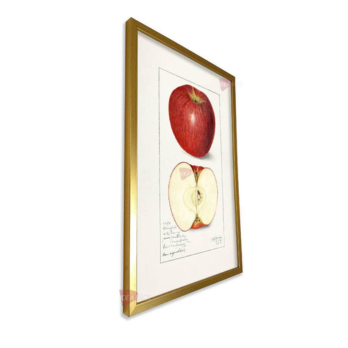 mdr cocina vertical cvk44.jpg