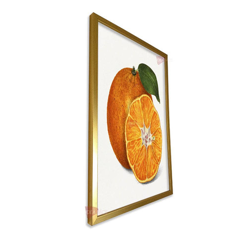 mdr cocina vertical cvk65.jpg