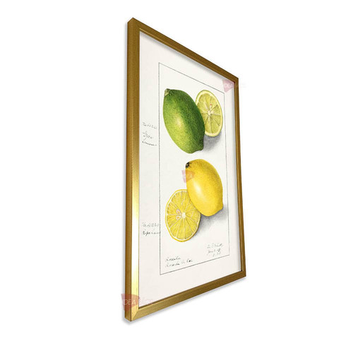 mdr cocina vertical cvk31.jpg