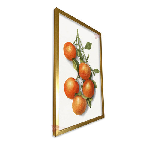 mdr cocina vertical cvk62.jpg