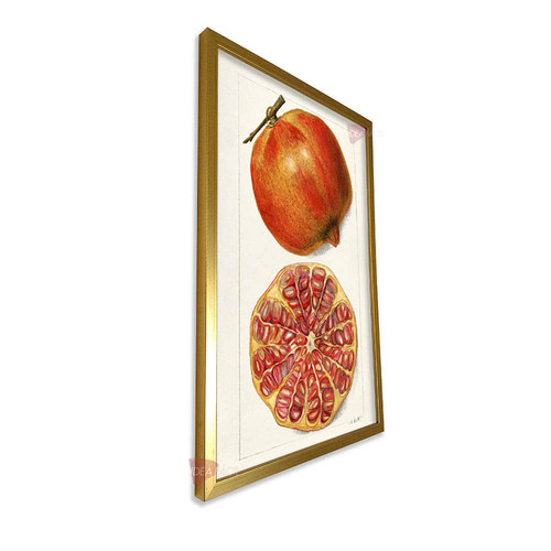 mdr cocina vertical cvk35.jpg