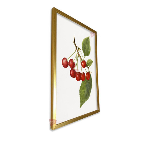 mdr cocina vertical cvk66.jpg