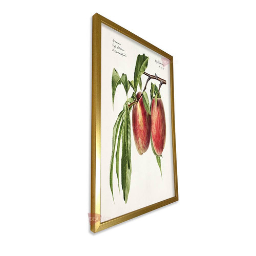 mdr cocina vertical cvk36.jpg