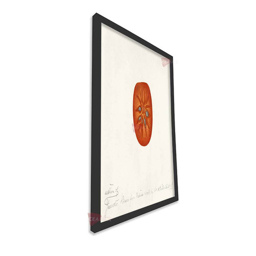 mnr cocina vertical cvk48.jpg