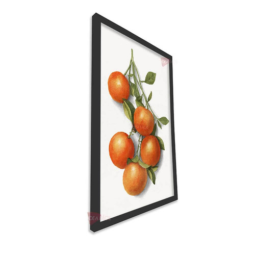 mnr cocina vertical cvk62.jpg