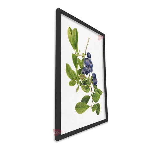 mnr cocina vertical cvk63.jpg