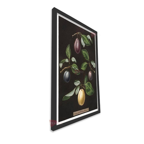 mnr cocina vertical cvk42.jpg