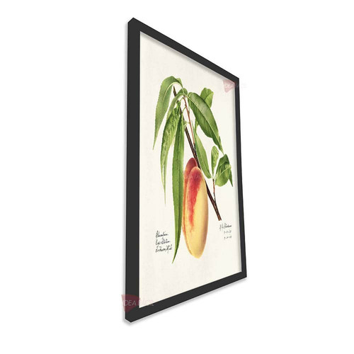 mnr cocina vertical cvk46.jpg