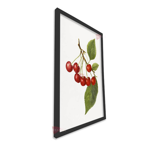 mnr cocina vertical cvk66.jpg