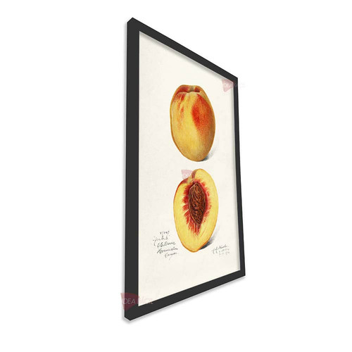 mnr cocina vertical cvk50.jpg