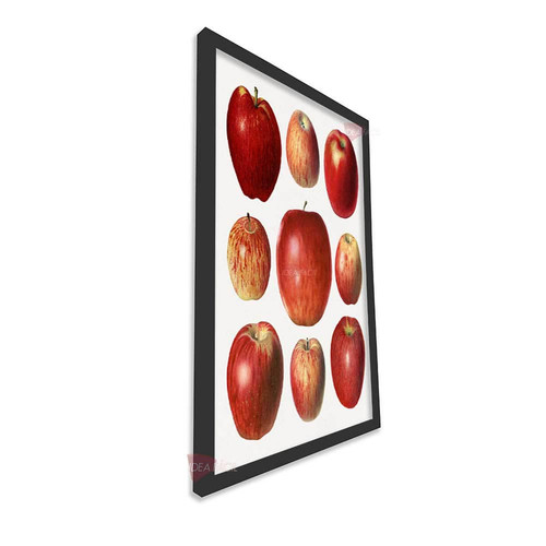 mnr cocina vertical cvk71.jpg