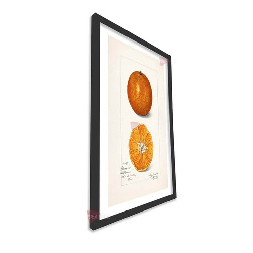 mnr cocina vertical cvk68.jpg