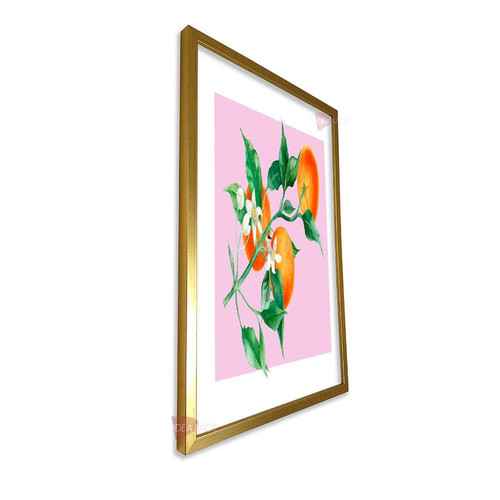 mdr frutas vertical fvf15.jpg