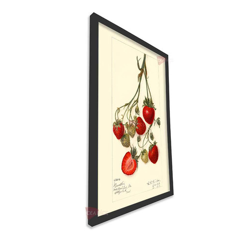 mnr cocina vertical cvk97.jpg