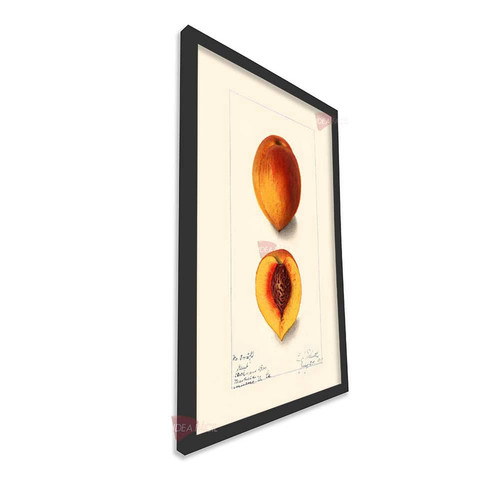 mnr cocina vertical cvk98.jpg