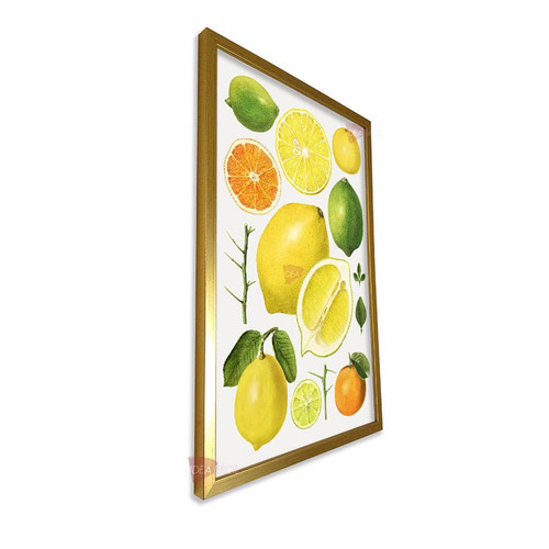 mdr frutas vertical fvf72.jpg