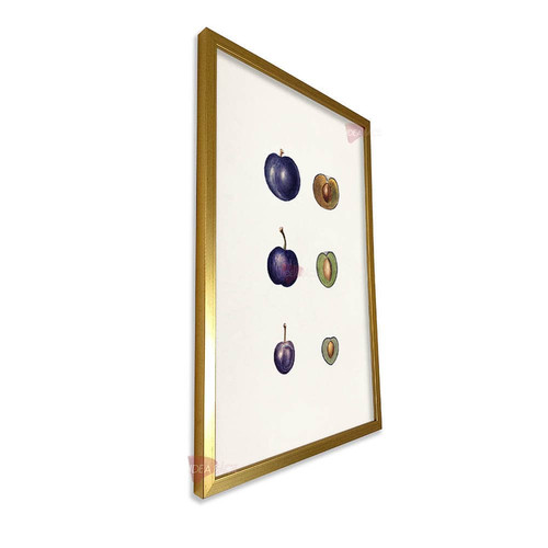 mdr frutas vertical fvf64.jpg