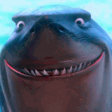 shark finding nemo.gif