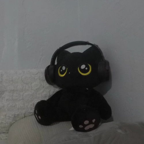 jjongmi 🐈 ⬛.jpg